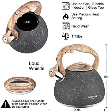 POLIVIAR 2.7 Quart Natural Stone Stainless Steel Tea Kettle