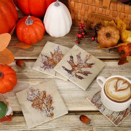 FYSUIMU 4Pcs Fall Leaves Coasters Vintage Autumn Maple Leaf Pumpkin