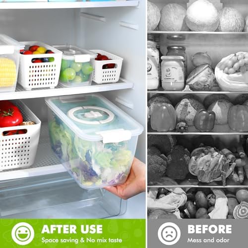 LUXEAR 3-Piece Produce Containers for Fridge