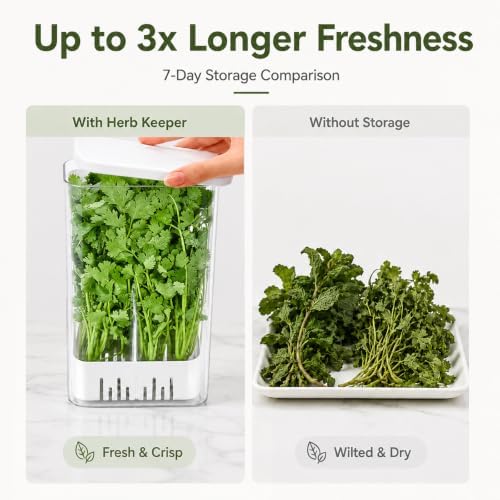 Herb Keeper Storage Container with Removable Partition