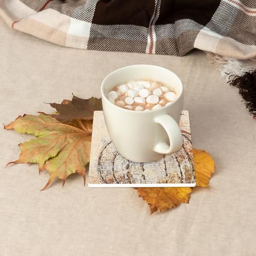 FYSUIMU 4Pcs Fall Leaves Coasters Vintage Autumn Maple Leaf Pumpkin