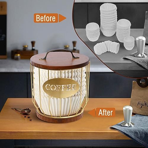 Y-Step Large Capacity Coffee Filter Holder with Lid for Counter &