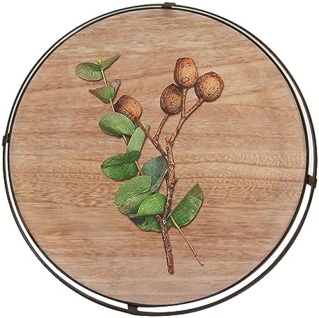 Defined Deco 12in Decorative Tray-Round Serving Tray with Metal