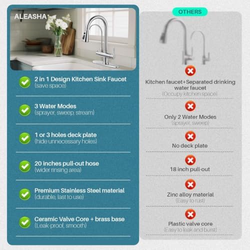 Brushed Nickel Kitchen Faucet with Water Filter