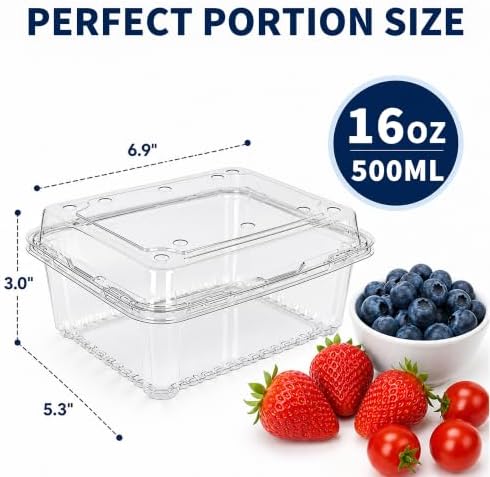 16 oz Clear Plastic Fruit Containers with Hinged Lids, Ventilated