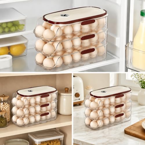 Kitchen Egg Container Egg Holder Organizer Dispenser With Transparent