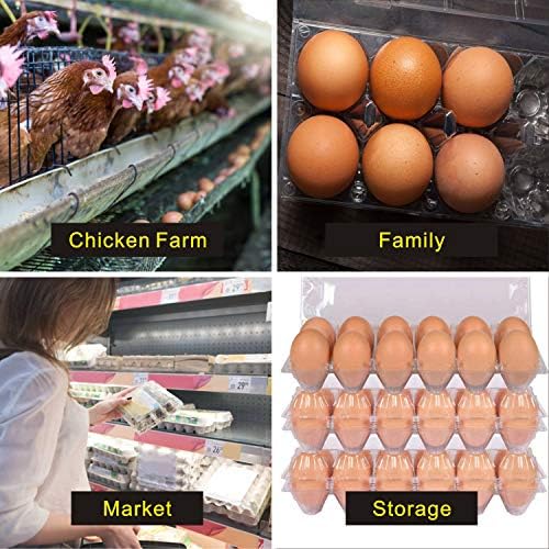 Large Plastic Egg Cartons, 30 Packs, 12 Eggs