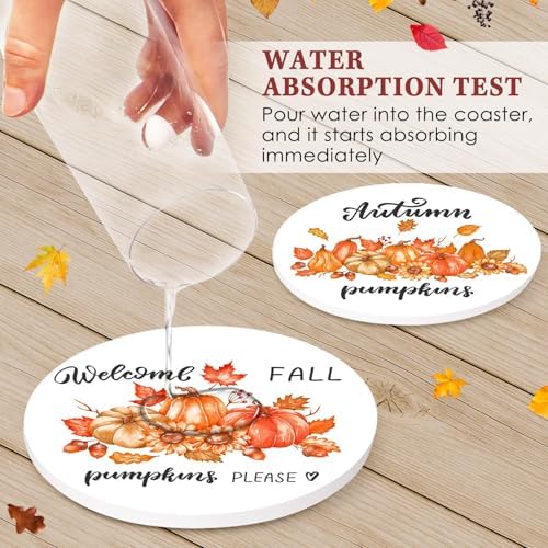 Fall Coasters for Drinks, Set of 6, Ceramic Stone Autumn