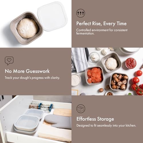 Pizza Dough Proofing Containers Set of 3, Collapsible 40 oz Dough Box