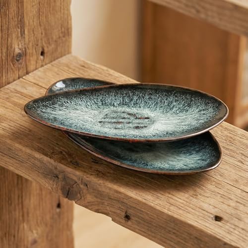 Ceramic Dinner Plates Set of 4, for Bread, Pasta, Salad, sushi