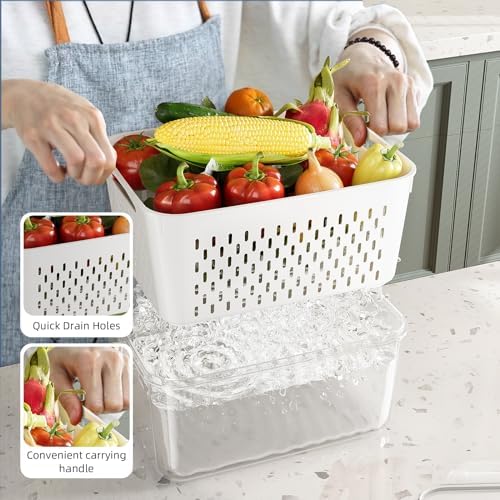 KEMETHY 10 Pack Fruit Storage Containers for Fridge with Removable