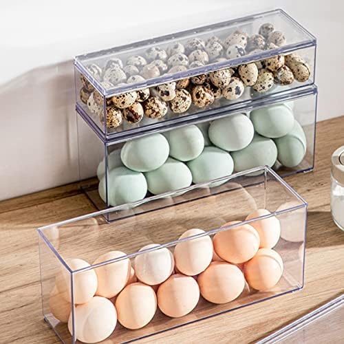 Large Transparent Plastic Flatware Tray with Lid