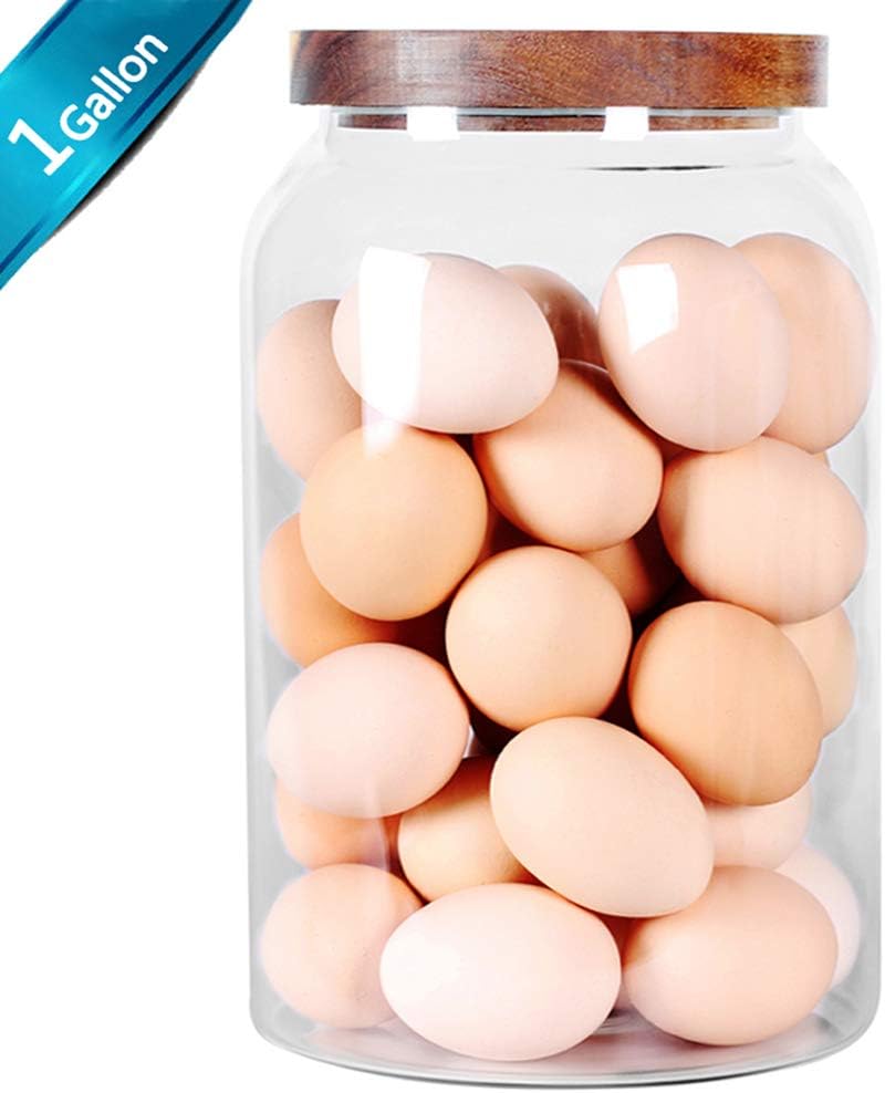 SAIOOL Egg Jar,kitchen canister, 1 Gallon Large Glass Food Storage