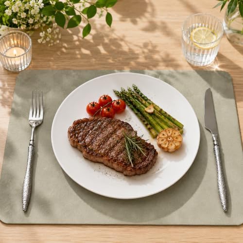 White Dinner Plates Set of 6, 10 Inch Ceramic Plates, White Porcelain