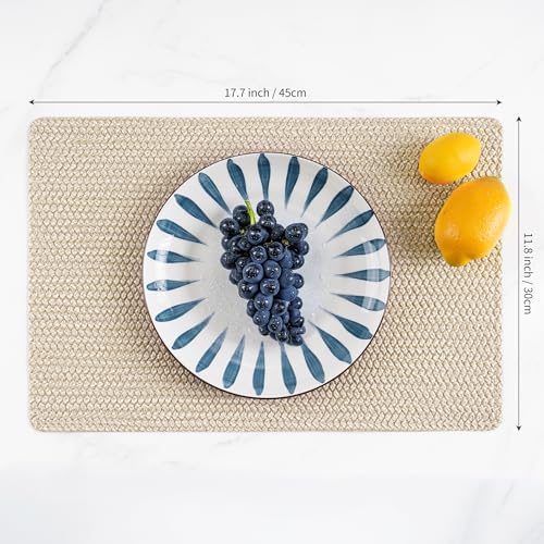 POLYTE Indoor/Outdoor Washable Woven Vinyl Table Dining Placemats, Set