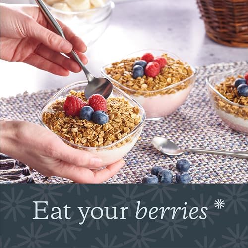 Vikko Dessert Bowls, Set of 6 Small Glass Bowls, 10 Ounce Ice Cream