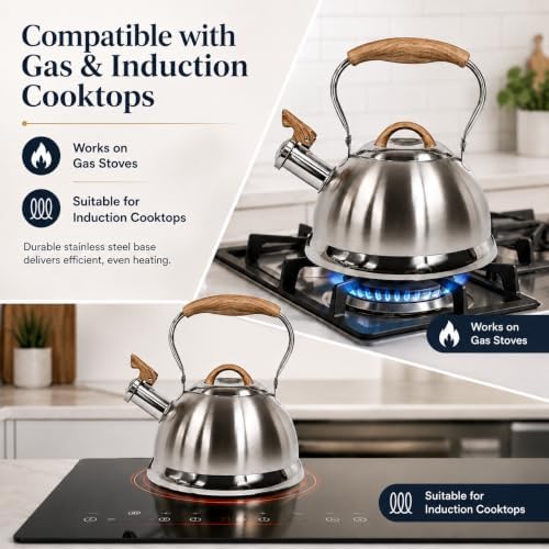 QNA Whistling Stainless Steel Tea Kettle, 2.8L
