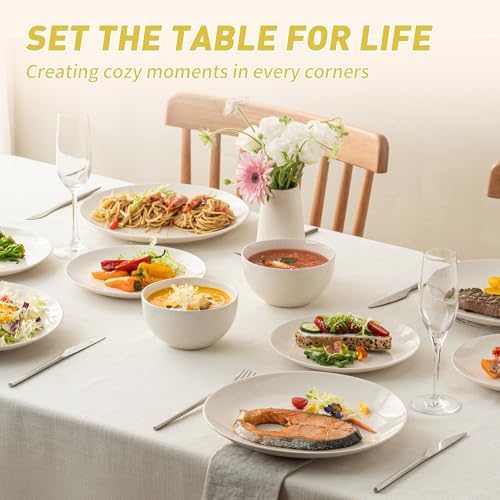 Dafuceramic Plates and Bowls Sets, 12 Pieces Modern Stoneware