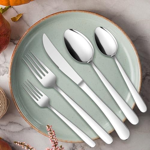 HaWare Heavy Duty Silverware Set, 20-Piece Stainless Steel Flatware
