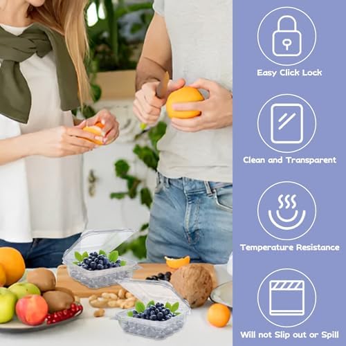 100PCS Berry Containers with Lids, Clear Plastic Vented Berry