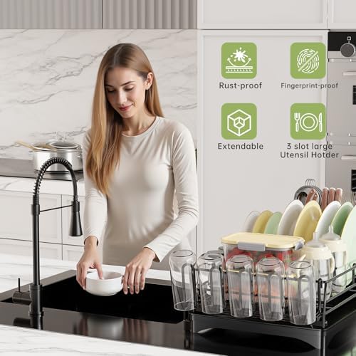 Ekisemio Expandable Dish Drying Rack, Black