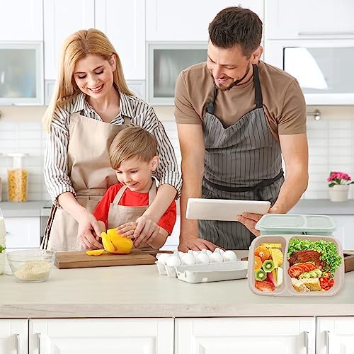 4 Pack 2-Compartment Divided bento Box FOR Kids/Toddle/Adults