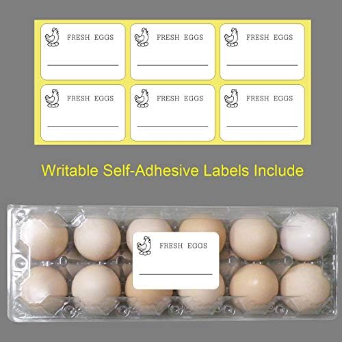 Large Plastic Egg Cartons, 30 Packs, 12 Eggs