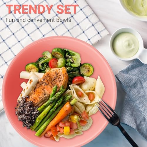 Plastic Mixing Bowls with Lids Set, 12 Piece Red Ombre Mixing Bowl Set