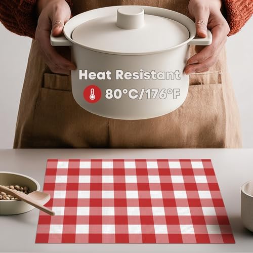 Artoid Mode Buffalo Plaid Vinyl Placemats Set of 4, 12x18 Inch