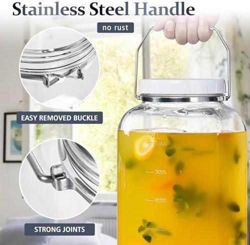 2 Gallon Glass Jar with Airtight Lid