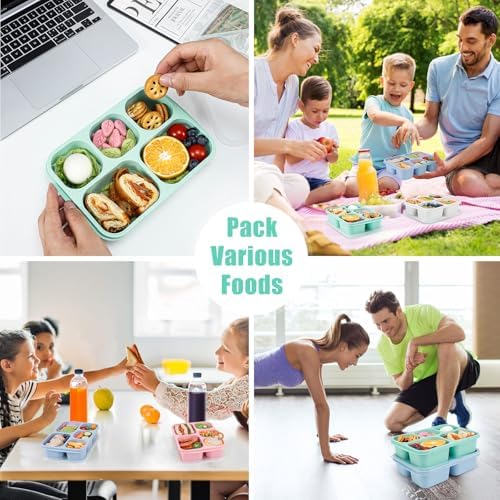 Caperci Wheat Straw Bento Snack Box Containers for Adults & Kids
