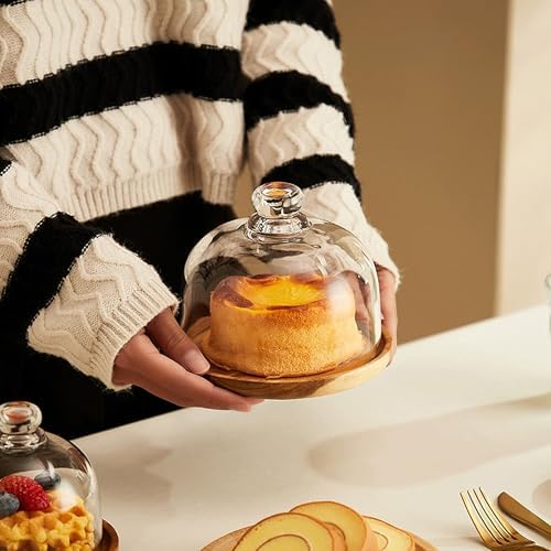 Glass Butter Dish with Lid, Clear Domed Cheese Dish with Handle-6 inch
