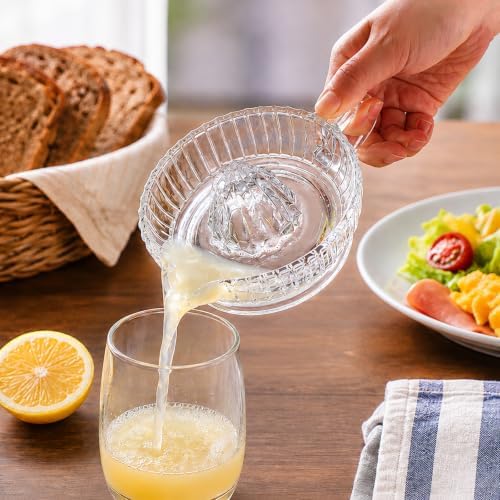 Glass Lemon Lime Squeezer, Manual Citrus Juicer