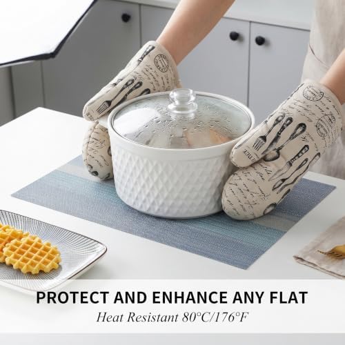 Winknowl Placemats, Set of 8 Heat Resistant Stain Resistant Woven
