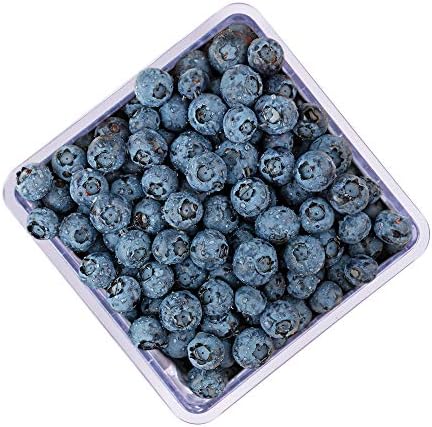 HIC Kitchen BerryFresh 1-Liter Produce Box, Red