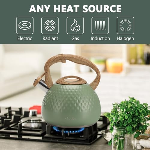 harriet Stainless Steel Whistling Tea Kettle, 2.5QT