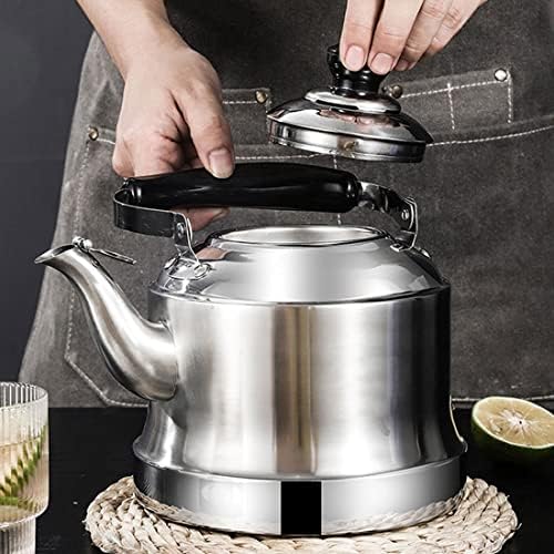 2L Stainless Steel Whistling Tea Kettle with Infuser