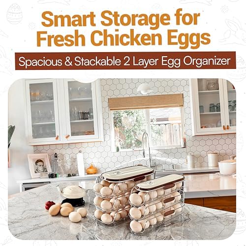 Auto Rolling Egg Holder for Fridge, 2-Tier Gravity-Fed Dispenser