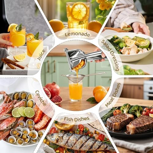 Large 304 Stainless Steel Lemon Squeezer