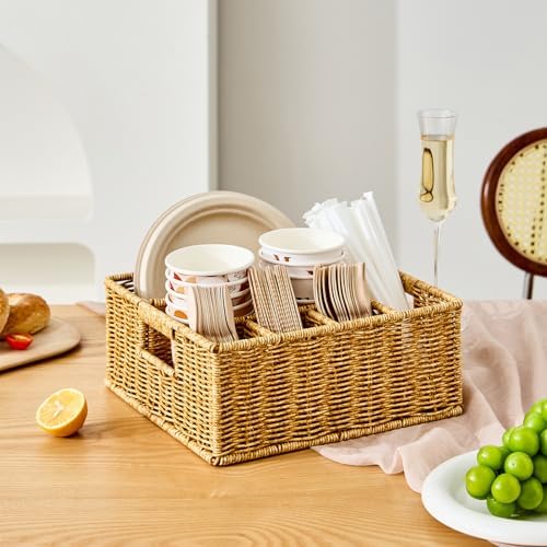 Berdeng Utensil Holder for Party, Paper Plate Dispenser for