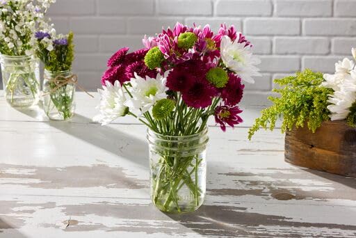 Ball Wide Mouth Glass Mason Jars - Image 3