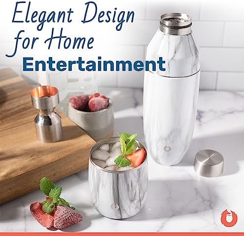 SNOWFOX Premium Vacuum Insulated Stainless Steel Cocktail Shaker, Home