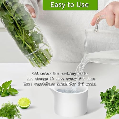 3-Pack Herb Saver Pods for Refrigerator, Herb Keeper