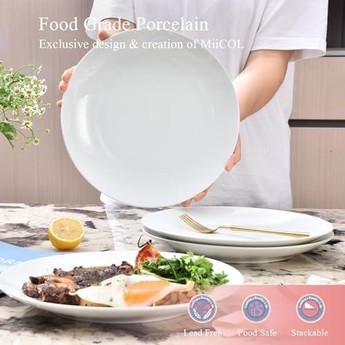 Miicol Ceramic Dinner Plates Set of 4, Large Salad Plate 10.5 inch