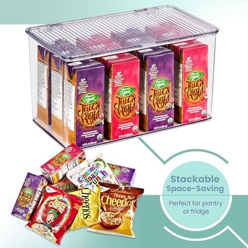 Sorbus Clear Storage Bins with Lids, Large