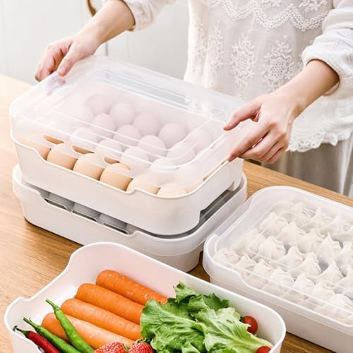 Egg Storage Box PP Plastic Egg Tray Lid for Refrigerator Storage