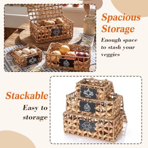 Blushtier Potato Onion Garlic Storage Bins with Lid for Kitchen