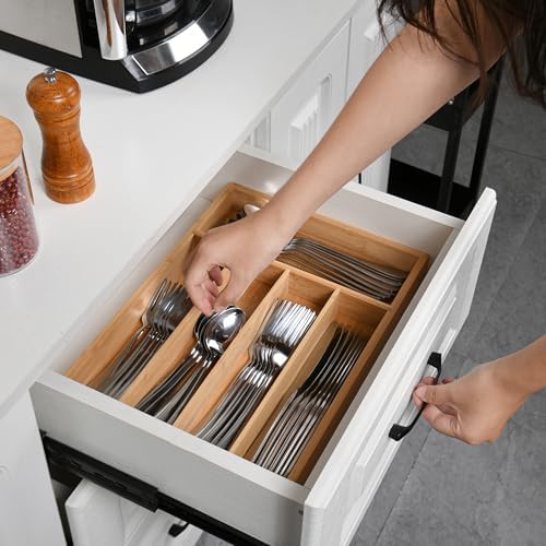 40 Piece Silverware Set with Drawer Organizer for 8