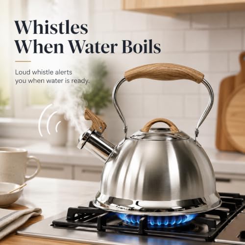 QNA Whistling Stainless Steel Tea Kettle, 2.8L
