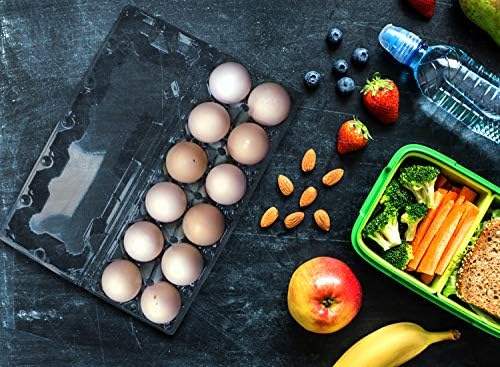 Large Plastic Egg Cartons, 30 Packs, 12 Eggs